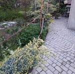 ул. Галины Петровой (г. Николаев, Заводской район) - Продається будинок, 49999 $ - АФНУ